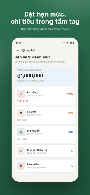 Category budgets with monthly limits and progress bars